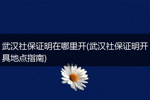 武汉社保证明在哪里开(武汉社保证明开具地点指南)