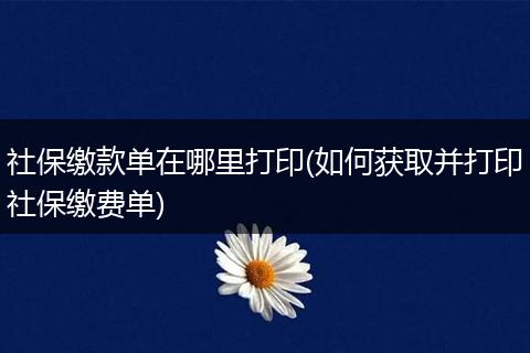 社保缴款单在哪里打印(如何获取并打印社保缴费单)