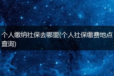 个人缴纳社保去哪里(个人社保缴费地点查询)