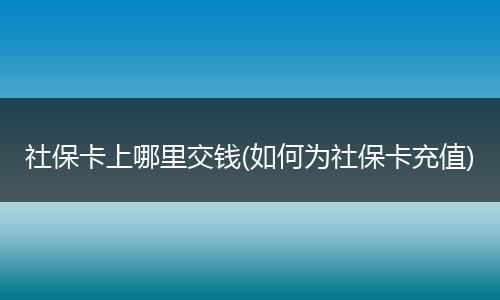 社保卡上哪里交钱(如何为社保卡充值)