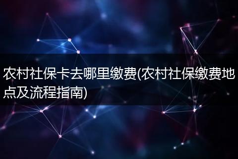 农村社保卡去哪里缴费(农村社保缴费地点及流程指南)