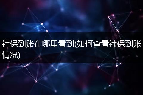 社保到账在哪里看到(如何查看社保到账情况)