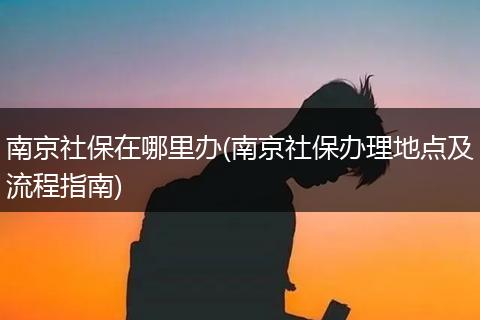 南京社保在哪里办(南京社保办理地点及流程指南)