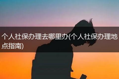 个人社保办理去哪里办(个人社保办理地点指南)