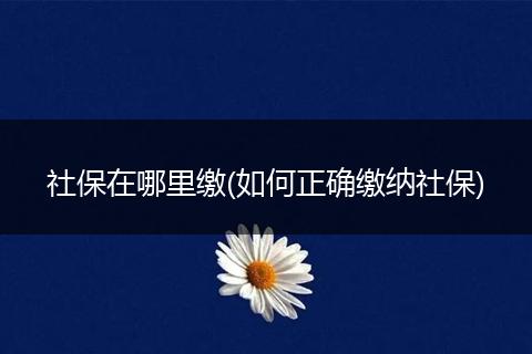社保在哪里缴(如何正确缴纳社保)