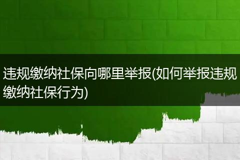 违规缴纳社保向哪里举报(如何举报违规缴纳社保行为)