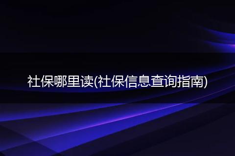 社保哪里读(社保信息查询指南)