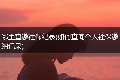 哪里查缴社保纪录(如何查询个人社保缴纳记录)