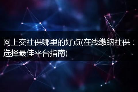 网上交社保哪里的好点(在线缴纳社保：选择最佳平台指南)