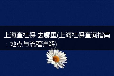 上海查社保 去哪里(上海社保查询指南：地点与流程详解)