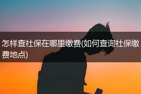 怎样查社保在哪里缴费(如何查询社保缴费地点)
