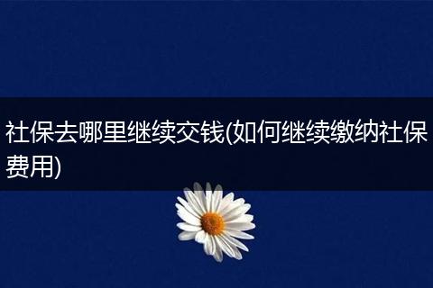 社保去哪里继续交钱(如何继续缴纳社保费用)