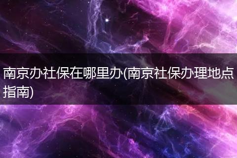 南京办社保在哪里办(南京社保办理地点指南)