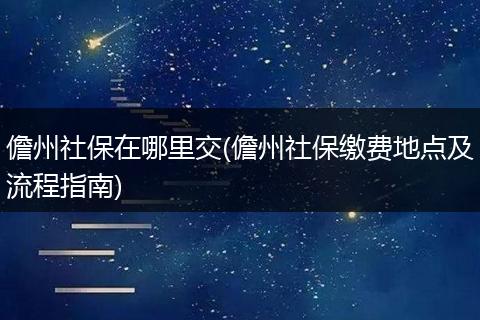 儋州社保在哪里交(儋州社保缴费地点及流程指南)