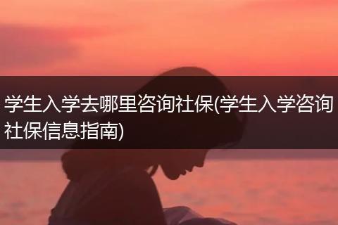 学生入学去哪里咨询社保(学生入学咨询社保信息指南)