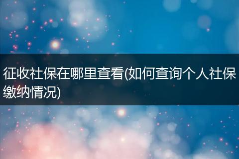 征收社保在哪里查看(如何查询个人社保缴纳情况)