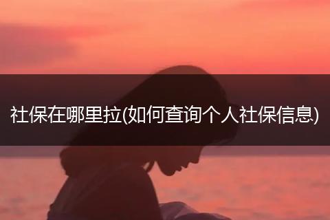 社保在哪里拉(如何查询个人社保信息)
