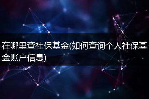 在哪里查社保基金(如何查询个人社保基金账户信息)