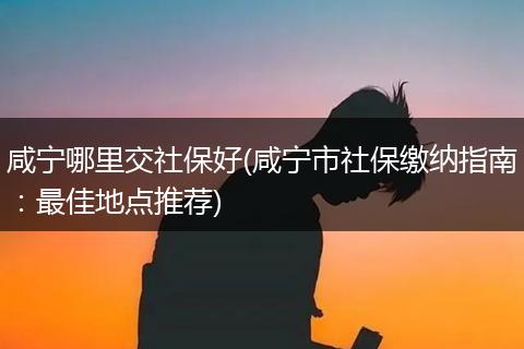 咸宁哪里交社保好(咸宁市社保缴纳指南：最佳地点推荐)