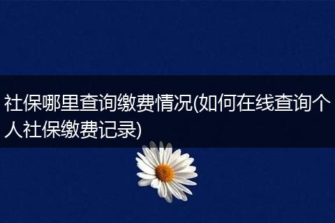 社保哪里查询缴费情况(如何在线查询个人社保缴费记录)