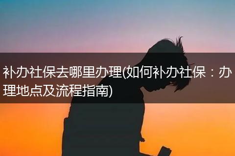 补办社保去哪里办理(如何补办社保：办理地点及流程指南)