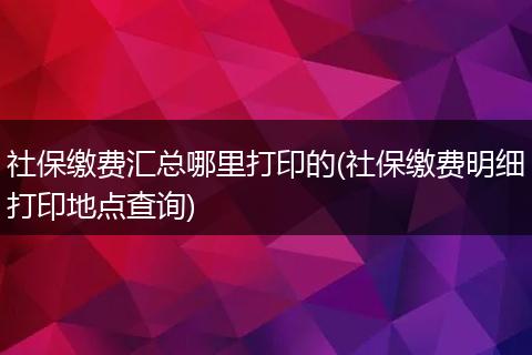 社保缴费汇总哪里打印的(社保缴费明细打印地点查询)