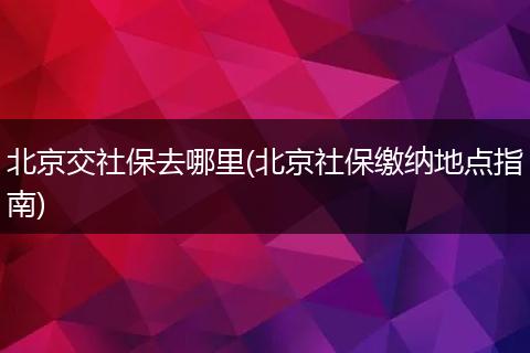 北京交社保去哪里(北京社保缴纳地点指南)