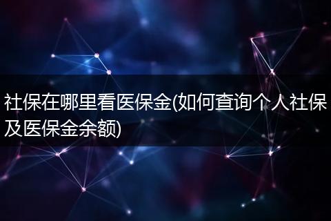 社保在哪里看医保金(如何查询个人社保及医保金余额)