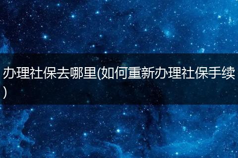 办理社保去哪里(如何重新办理社保手续)