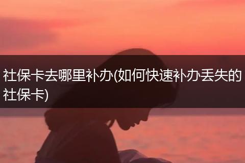 社保卡去哪里补办(如何快速补办丢失的社保卡)