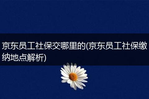 京东员工社保交哪里的(京东员工社保缴纳地点解析)