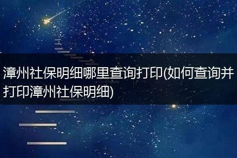 漳州社保明细哪里查询打印(如何查询并打印漳州社保明细)