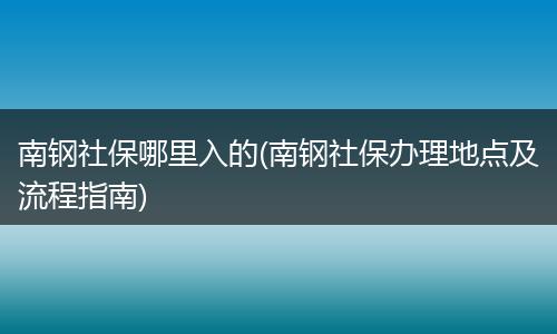 南钢社保哪里入的(南钢社保办理地点及流程指南)