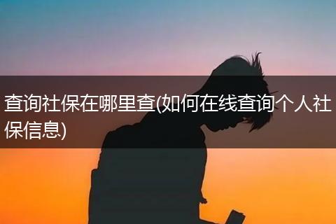 查询社保在哪里查(如何在线查询个人社保信息)
