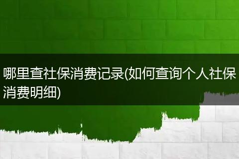 哪里查社保消费记录(如何查询个人社保消费明细)