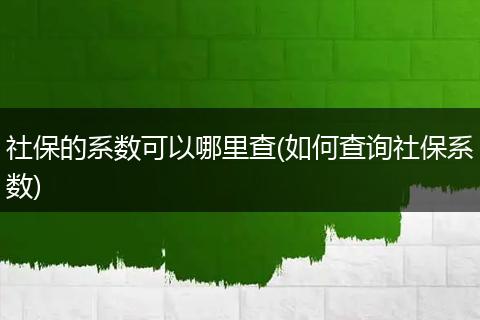 社保的系数可以哪里查(如何查询社保系数)