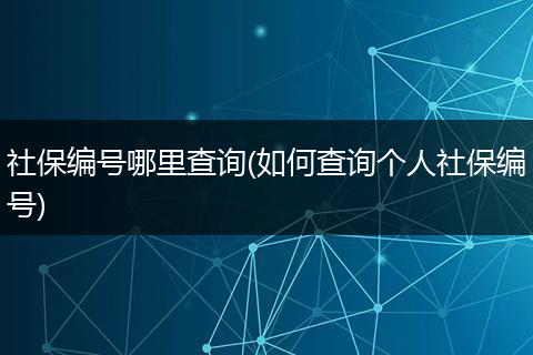 社保编号哪里查询(如何查询个人社保编号)