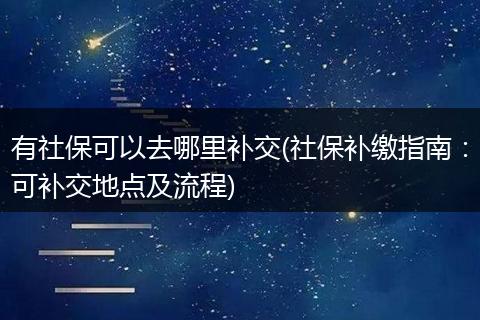 有社保可以去哪里补交(社保补缴指南：可补交地点及流程)