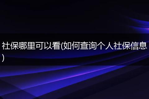 社保哪里可以看(如何查询个人社保信息)