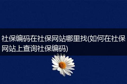 社保编码在社保网站哪里找(如何在社保网站上查询社保编码)