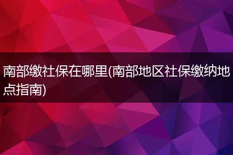 南部缴社保在哪里(南部地区社保缴纳地点指南)