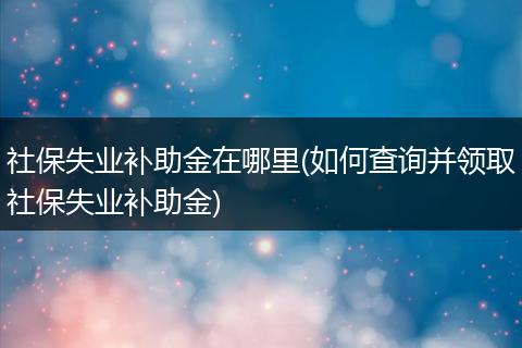 社保失业补助金在哪里(如何查询并领取社保失业补助金)
