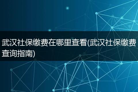 武汉社保缴费在哪里查看(武汉社保缴费查询指南)