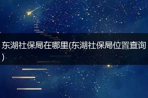 东湖社保局在哪里(东湖社保局位置查询)