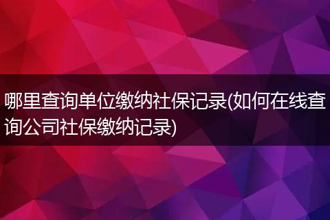哪里查询单位缴纳社保记录(如何在线查询公司社保缴纳记录)