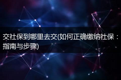 交社保到哪里去交(如何正确缴纳社保：指南与步骤)