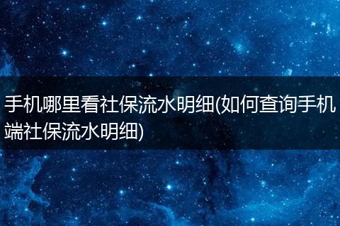 手机哪里看社保流水明细(如何查询手机端社保流水明细)