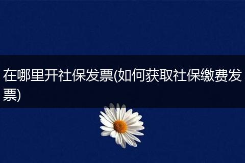 在哪里开社保发票(如何获取社保缴费发票)