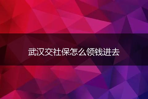 武汉交社保怎么领钱进去