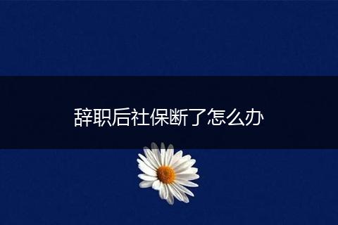 辞职后社保断了怎么办